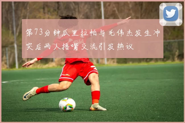 第73分钟瓜里拉帕与毛伟杰发生冲突后两人捂嘴交流引发热议