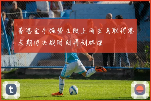 香港金牛强势击败上海玄鸟取得赛点期待决战时刻再创辉煌